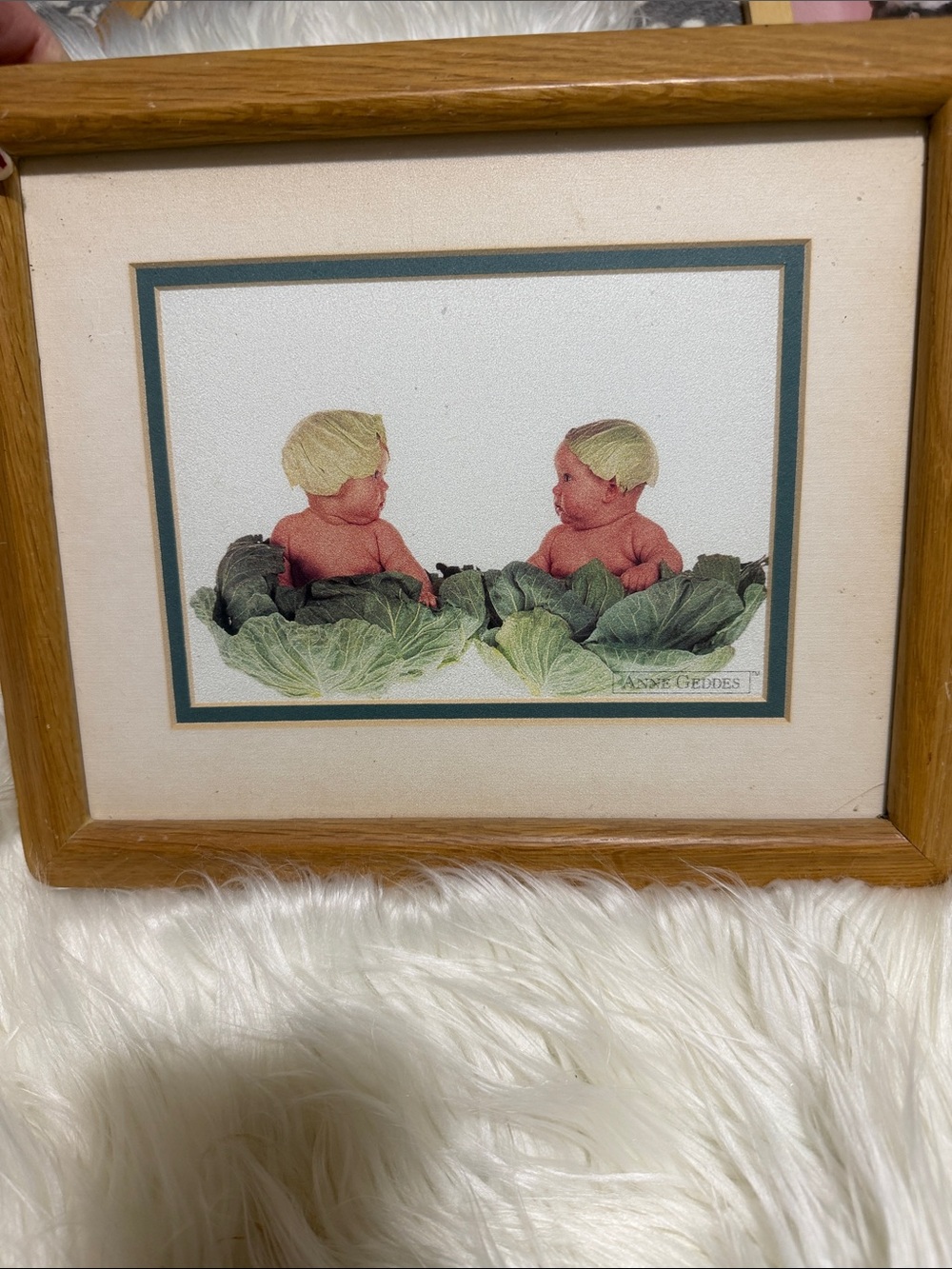 Anne Geddes Cabbage Babies Framed Print - Green and Tan